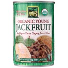 Native Forest Young Jackfruit (6 Pack)